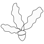 Dos Nuque Crâne